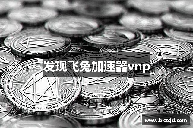 发现飞兔加速器vnp